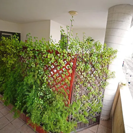 アパート Dolly Monolocali ポルト・チェザーレオ